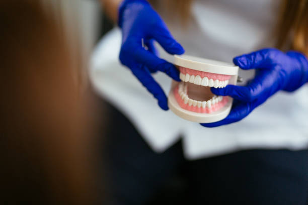 Dental X-Rays and Imaging in Bardmoor, FL